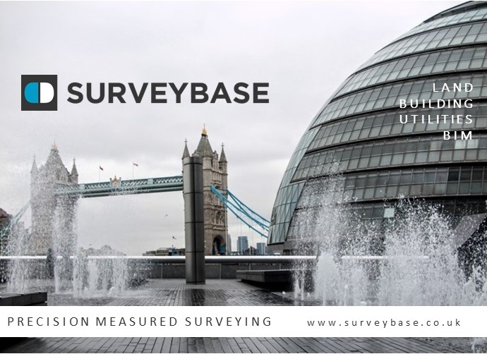 Surveybase