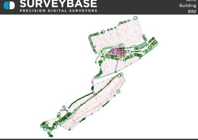 Topographical Survey