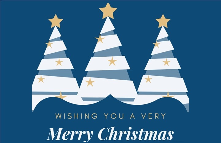 Merry Christmas from the Surveybase Team