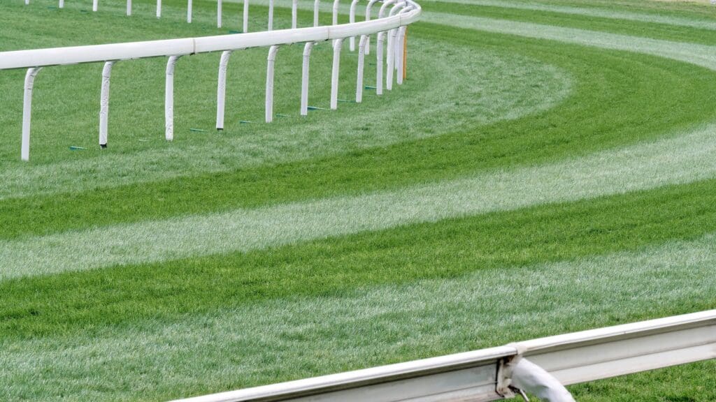 Women in Construction Day 2023 at Surveybase